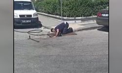 Yağmur suyu kanalında doğan kedileri itfaiye kurtardı