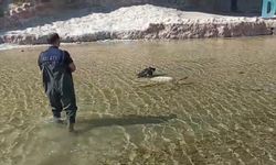 Yaralı leyleği itfaiye ekipleri kurtardı