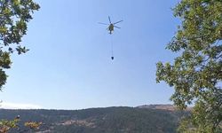 Amasya'daki orman yangını 16 saat sonra kontrol altına alındı; 35 hektar alan zarar gördü