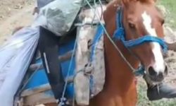 Av tüfeğiyle oynarken kendini vurdu; hayatını kaybetti