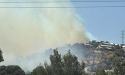 Bodrum'da maki yangını