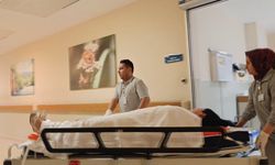 Ciple çarpışan otomobildeki çift yaralandı