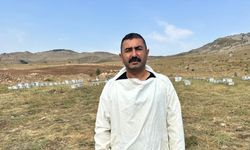 Coğrafi işaretli Munzur balına Londra’da altın madalya