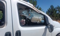 Hafif ticari araç, su kanalına devrildi: 2'si çocuk, 5 yaralı