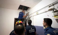 İstanbul- Avcılar’da cezaevi firarisi çatıda yakalandı