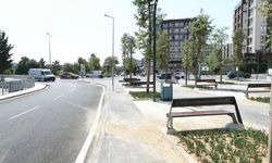 İstanbul- Balıkçı Kenan 'iki tane arazi bana hediye edeceksin' dedi