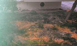 Kedisini yakalamaya çalışırken 5'inci kattan düşüp, yaralandı