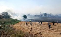 Kırklareli'de anız yangını; TEM ve D-100 bir süre trafiğe kapatıldı (2)