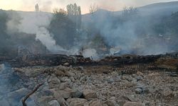 Köydeki yangında 3'ü metruk, 6 ev kullanılamaz hale geldi