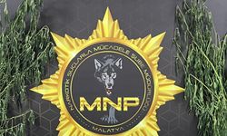 Malatya'da uyuşturucu operasyonunda 9 tutuklama