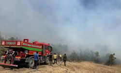 Şırnak’taki örtü yangını kontrol altında (3)