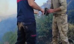 Yangından etkilenen kaplumbağa, ekipler tarafından kurtarıldı