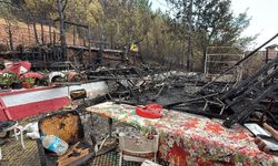 Bakan Yumaklı: Kastamonu ve Karabük'te orman yangınları büyük ölçüde kontrol altında (2)