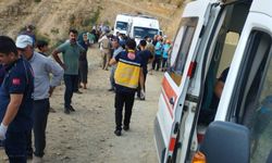 Bingöl'de minibüs şarampole devrildi: 7 yaralı