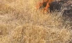 Bingöl'de orman yangını