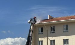 Çanakkale'de orman yangını (3)