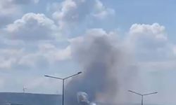 Çanakkale'de orman yangını