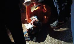 Düzce'de patpat devrildi: 10 yaralı