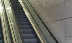 İstanbul - Havalimanında kedinin yürüyen merdivenle imtihanı