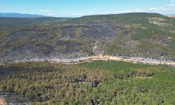 Karabük ve Kastamonu'da orman yangınlarına müdahale sürüyor