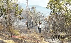 Karabük'te evde çıkan yangın, ormana sıçradı