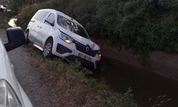 Koyun sürüsüne çarpıp, su kanalına düşen otomobilden 14 kaçak göçmen çıktı