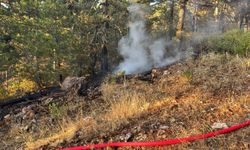 Manisa'da orman yangını; 2 saatte söndürüldü