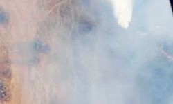 Mardin'in 2 ilçesinde örtü yangını (2)