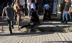 Muş'taki silahlı kavgada 2 kişi öldü, 3 kişi yaralandı; olay kamerada