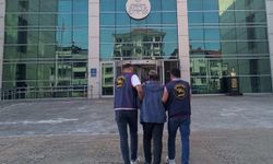 Ordu'da bahçelerden 1,5 ton fındık çalan hırsız yakalanıp, tutuklandı