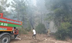 Osmaniye'de orman yangını