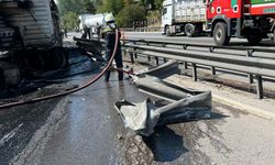 Otoyolda TIR yandı, dorsedeki hayvanları sürücü kurtardı