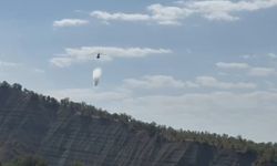 Şırnak'ta orman yangını