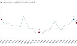 TÜİK: Sanayi üretimi yıllık yüzde 5 arttı