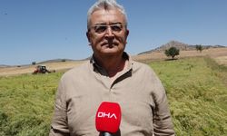 Türkiye'nin rezene üretim merkezi Burdur'da sezonun son hasadı yapıldı