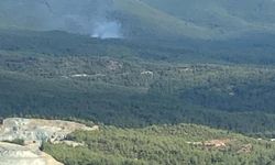 Yıldımı düşen ormanda çıkan yangında 1 hektar alan zarar gördü