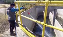 Adıyaman Belediyesi larva mücadelesini yoğunlaştırdı