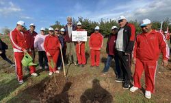Ayvalık’ta ertelenen fidan dikim etkinliğine ilgi yoğun oldu
