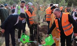 DEPSAŞ Enerji’den Makam Dağı’na 3 bin fidanlık yeşil dokunuş