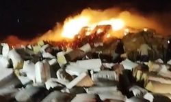 Diyarbakır’da preslenmiş 102 ton saman yandı