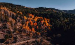 Karagöl Tabiat Parkı’nda sonbahar, renkli görüntüler oluşturdu
