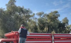 Karpuzlu’da hayvan sevkiyatına denetim