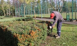 Kış turizminin gözdesi Kartepe’de park ve bahçeler güzelleşiyor