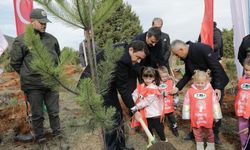 Kütahya’da hatıra ormanına 2 bin fidan dikildi