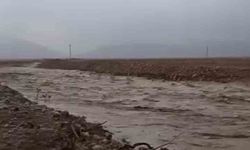 Mardin’de sağanak yağış sonucu dere taştı