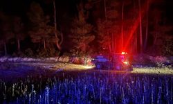 Muğla’da çıkan orman yangını kısa sürede kontrol altına alındı