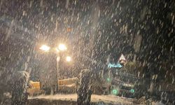 Ordu-Sivas kara yolu kar yağışı nedeniyle ulaşıma kapandı