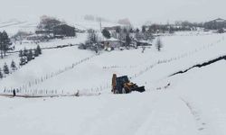 Ordu’da karla mücadele çalışmaları