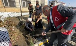 "Türkiye yeşeriyor, Gazze güçleniyor" projesiyle Yüksekova’da fidanlar toprakla buluştu