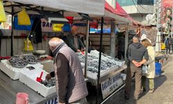 Zonguldak’ta hamsi azaldı, fiyatlar yeniden yükselişte